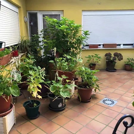 Escartín Pensión 5*