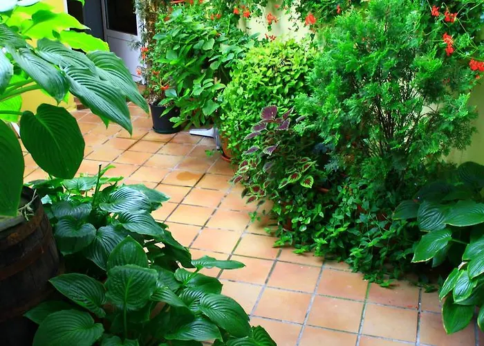 Penzion Escartin Sabiñánigo